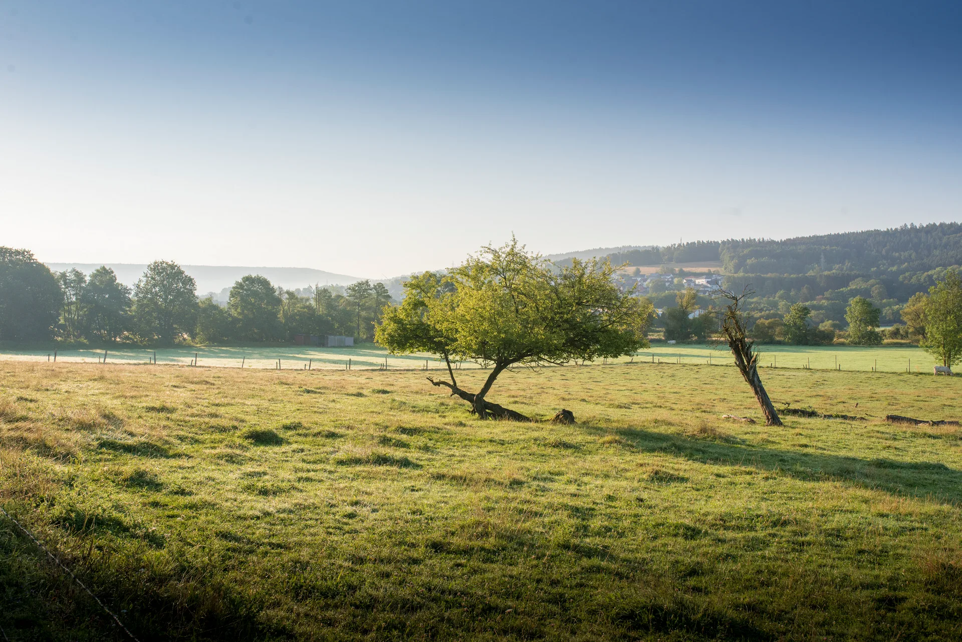 Kinzigauenroute 2024 07 29