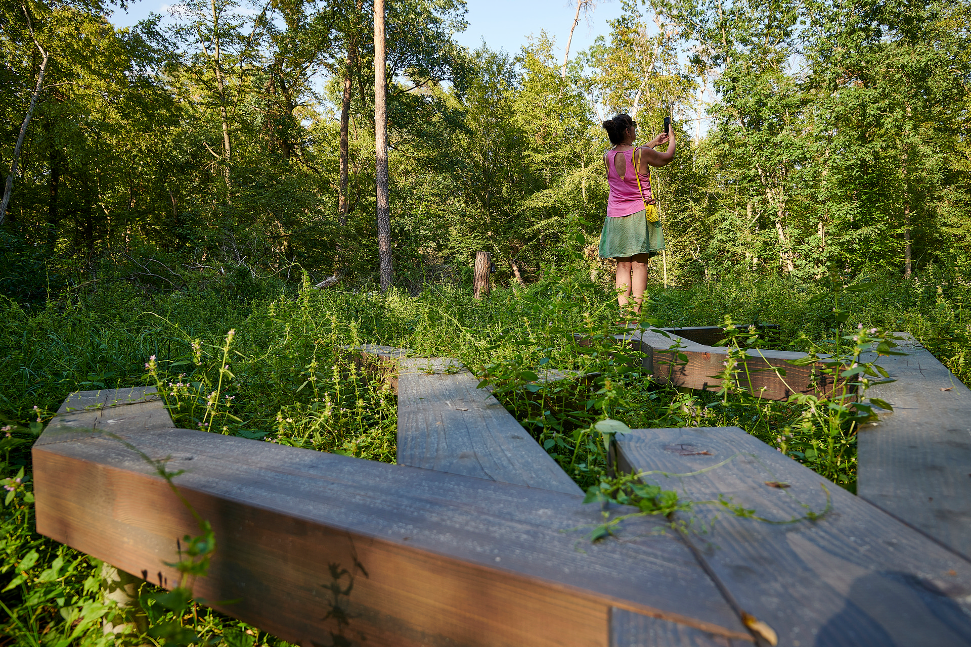 Klimaroute wald 2 1 print cop4182