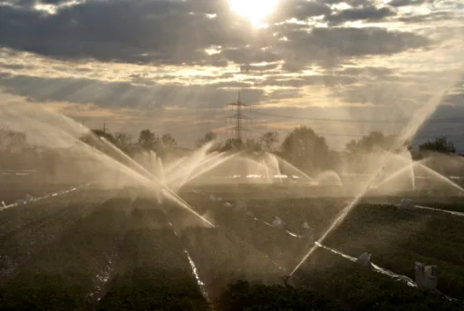 Landschaft ried cop8134