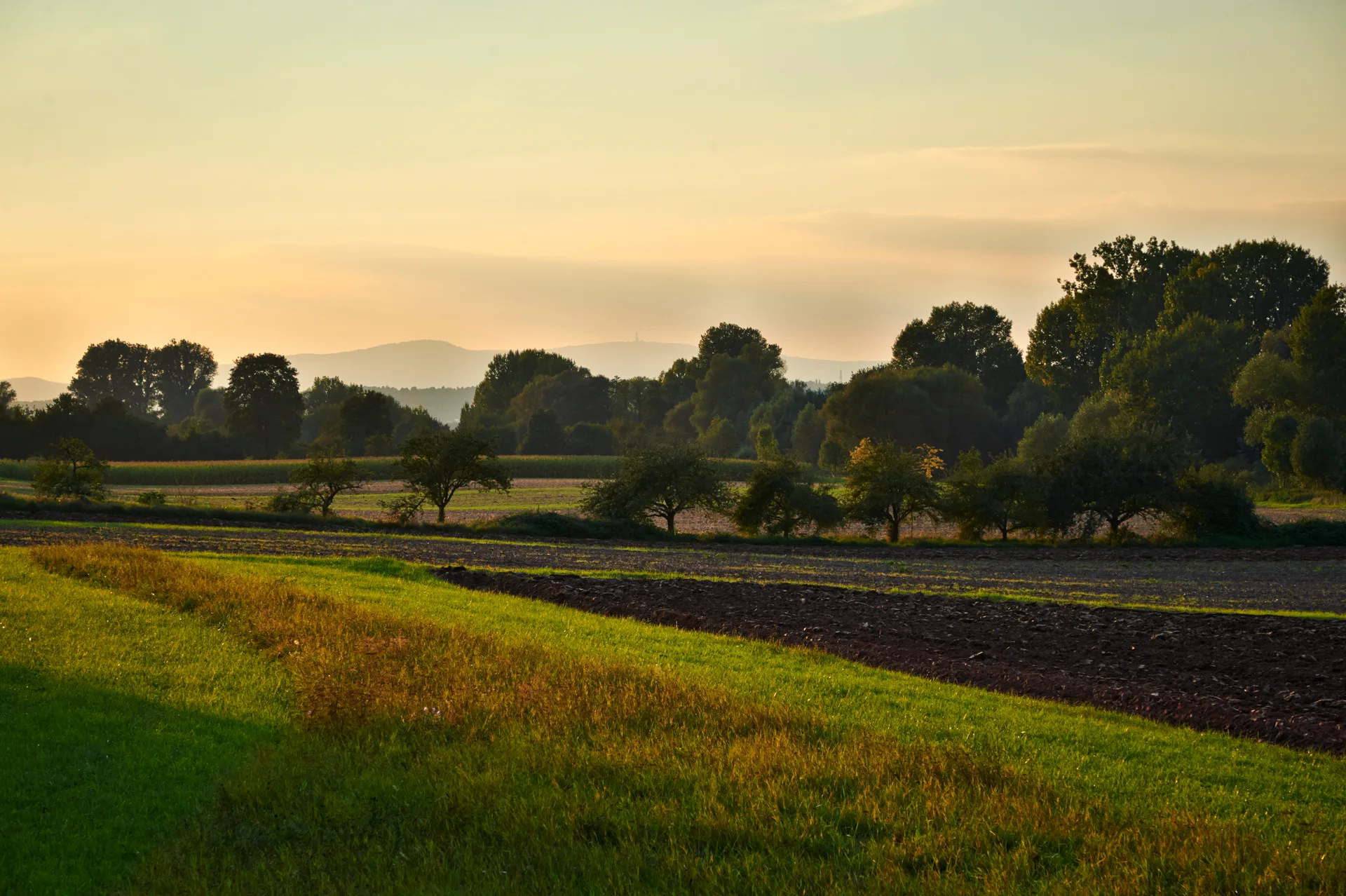 Landschaft taunusblick cop4772