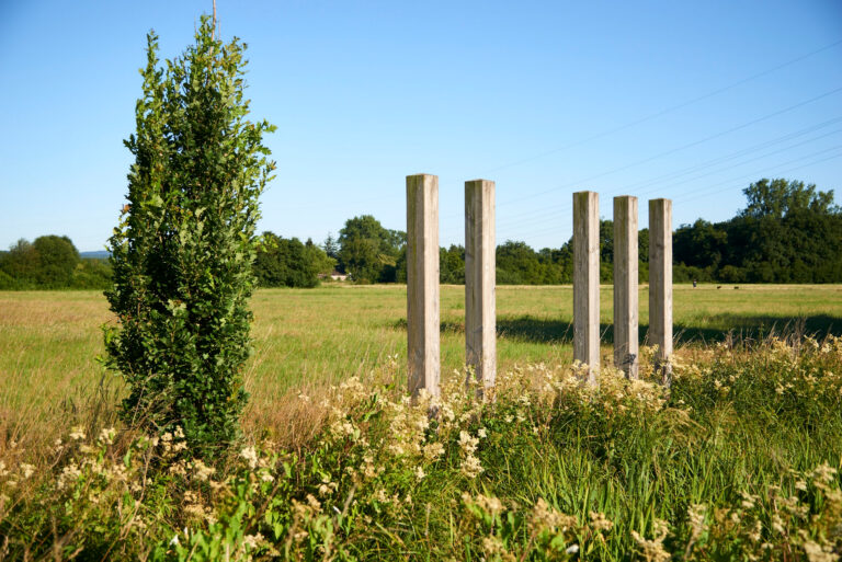 Nikolausquelle limes cop