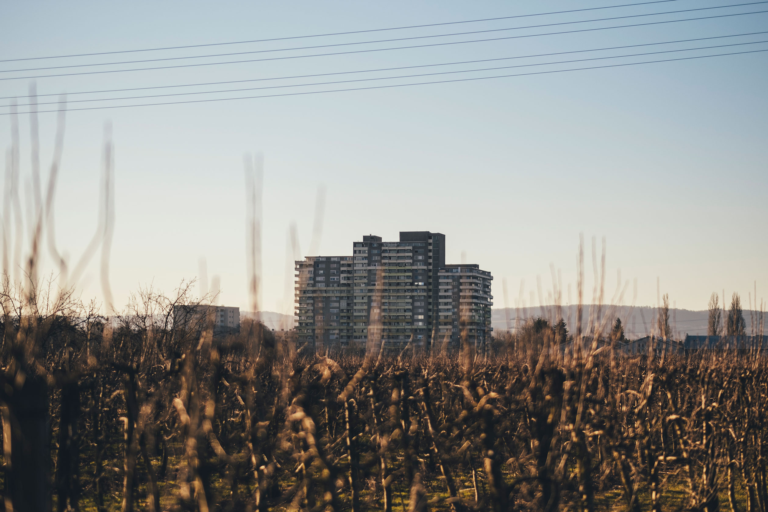 Regionalpark urbanhiking tour 2 zeilsheim hattersheim stefan hoening