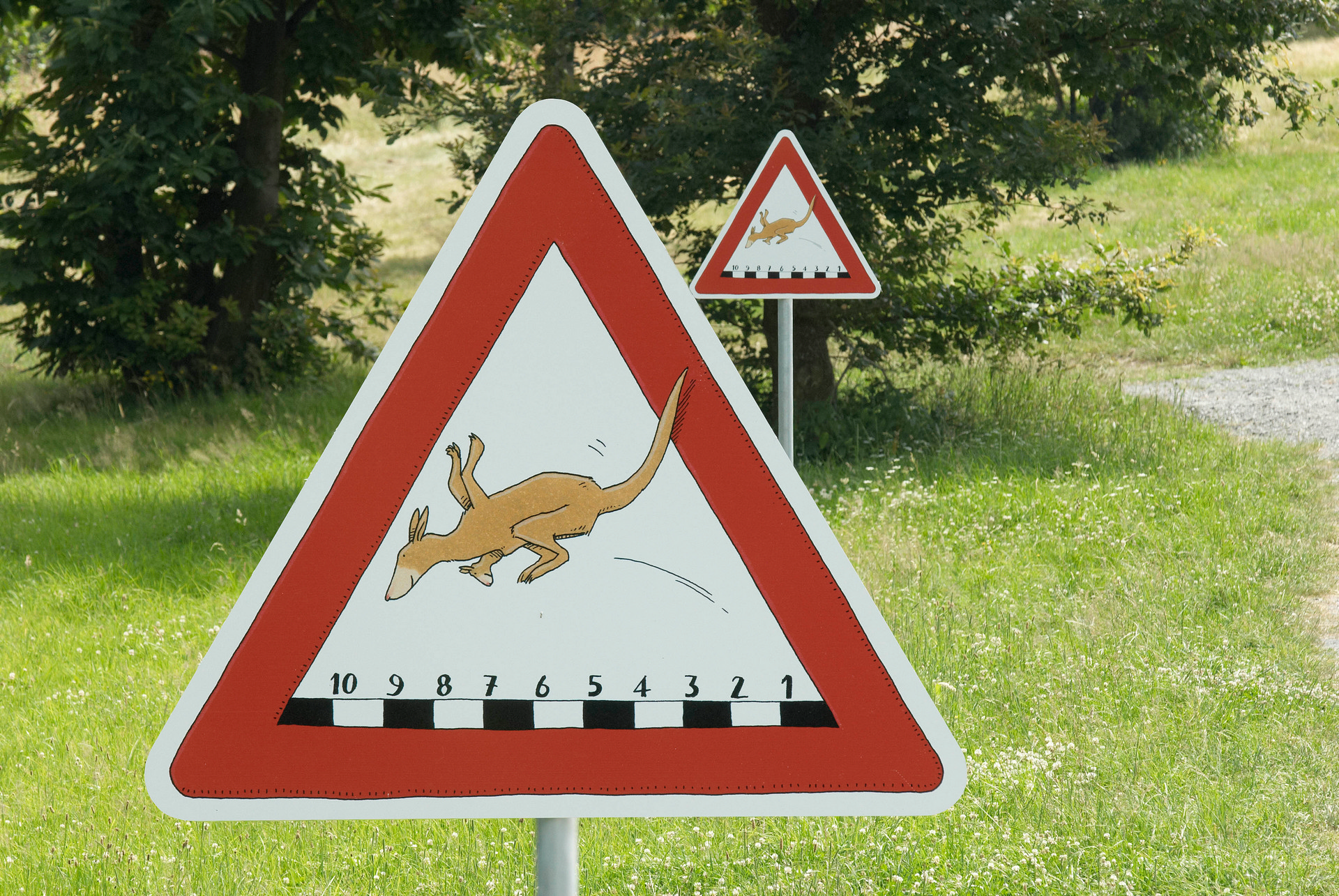 Safari route cop7436