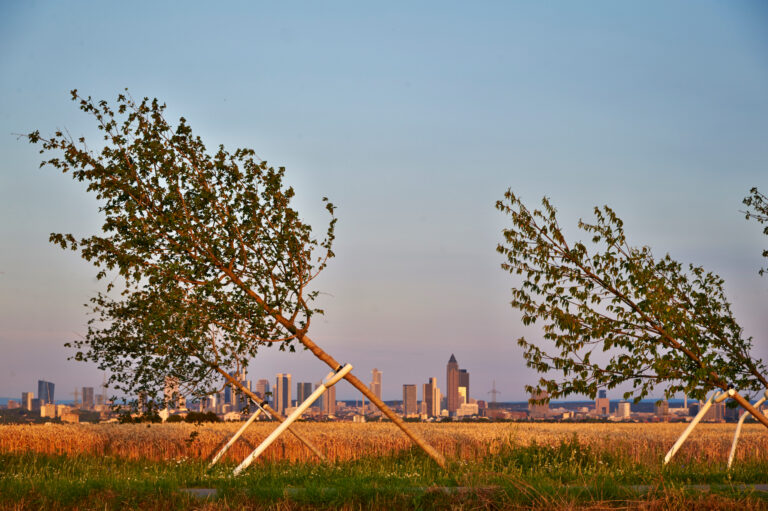 Schiefer wald eschborn cop