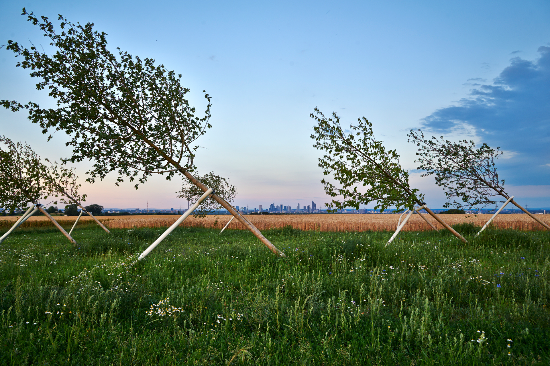 Schiefer wald eschborn cop
