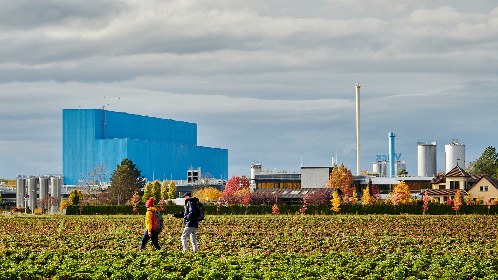 Urban hiking cop4489