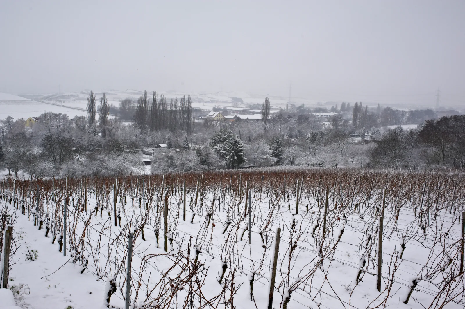 Schlitten- und Rodeltipps