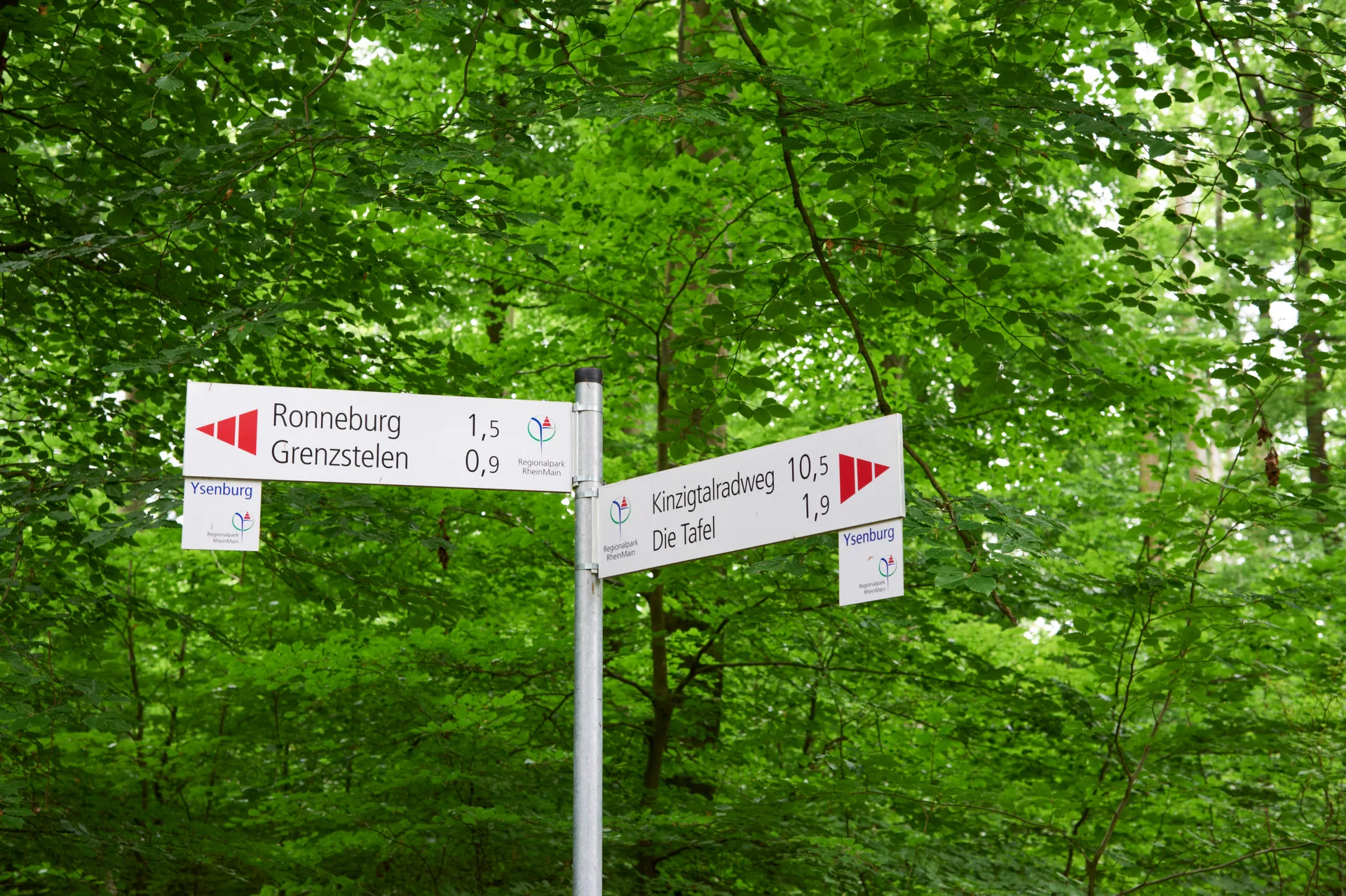 Ysenburgroute cop5616