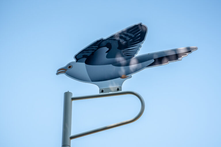 Regionalpark Klimaroute Station Fauna Flora Kuckuck
