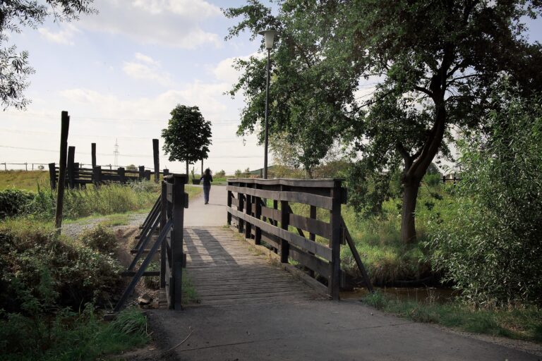 Bernd Ehlers Apfelweinpfad Groß Gerau (12)