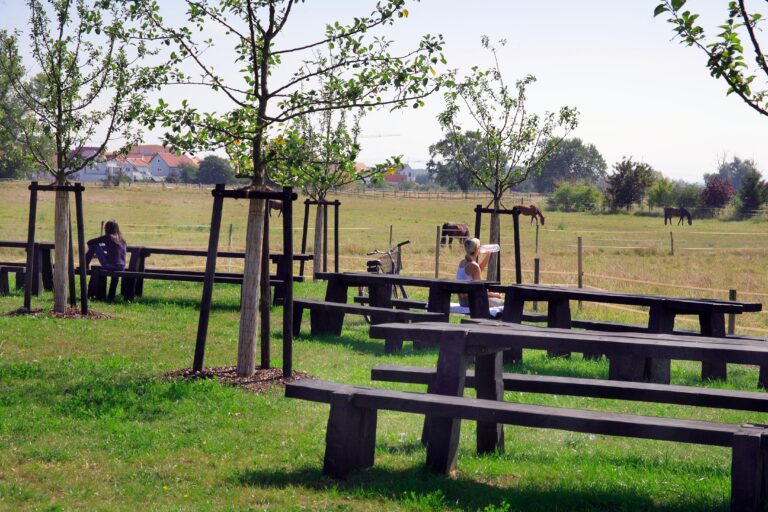 Bernd Ehlers Apfelweinpfad Groß Gerau (8)