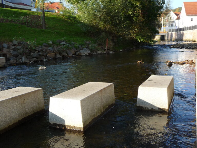 Regionalpark Arena in der Salz Bad Soden Salmünster (17)