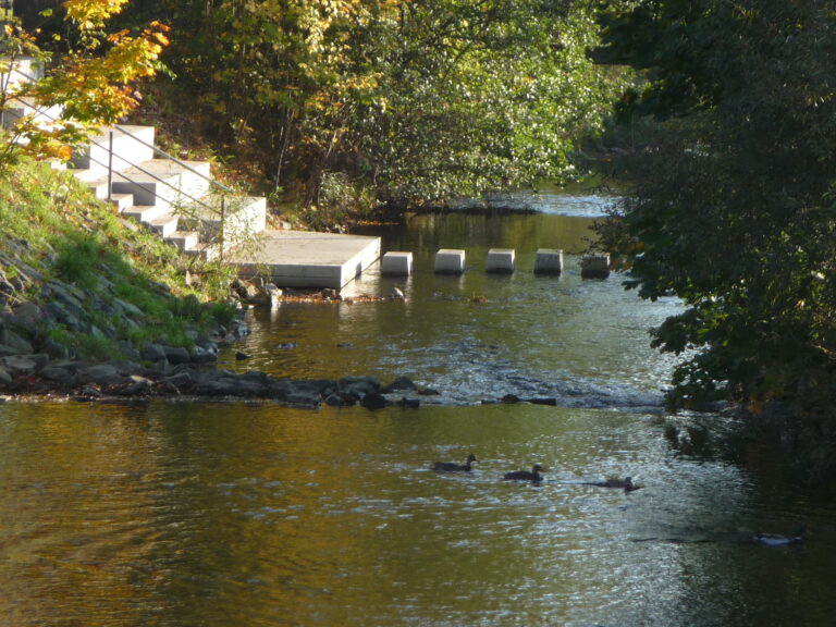 Regionalpark Arena in der Salz Bad Soden Salmünster (7)