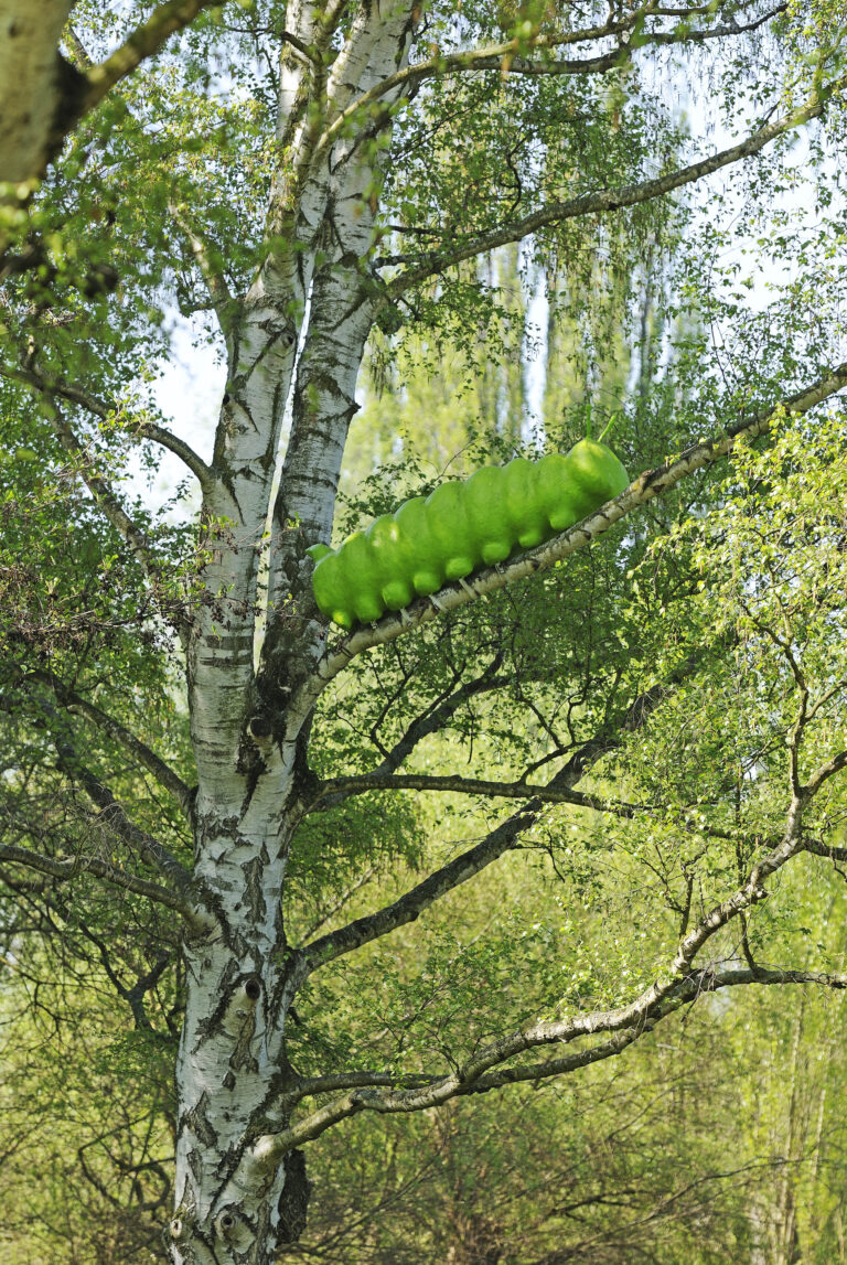 Stefan Cop Dicke Raupe Komische Kunst GrünGürtel Frankfurt (3)