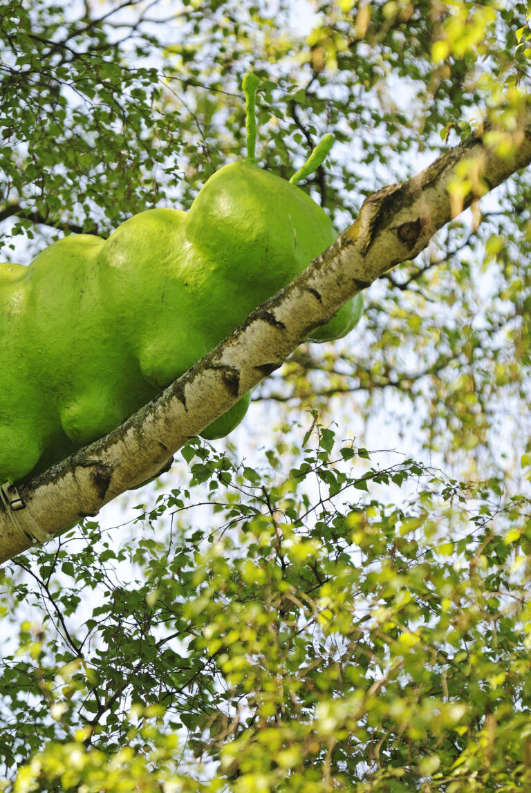 Stefan Cop Dicke Raupe Komische Kunst GrünGürtel Frankfurt (4)
