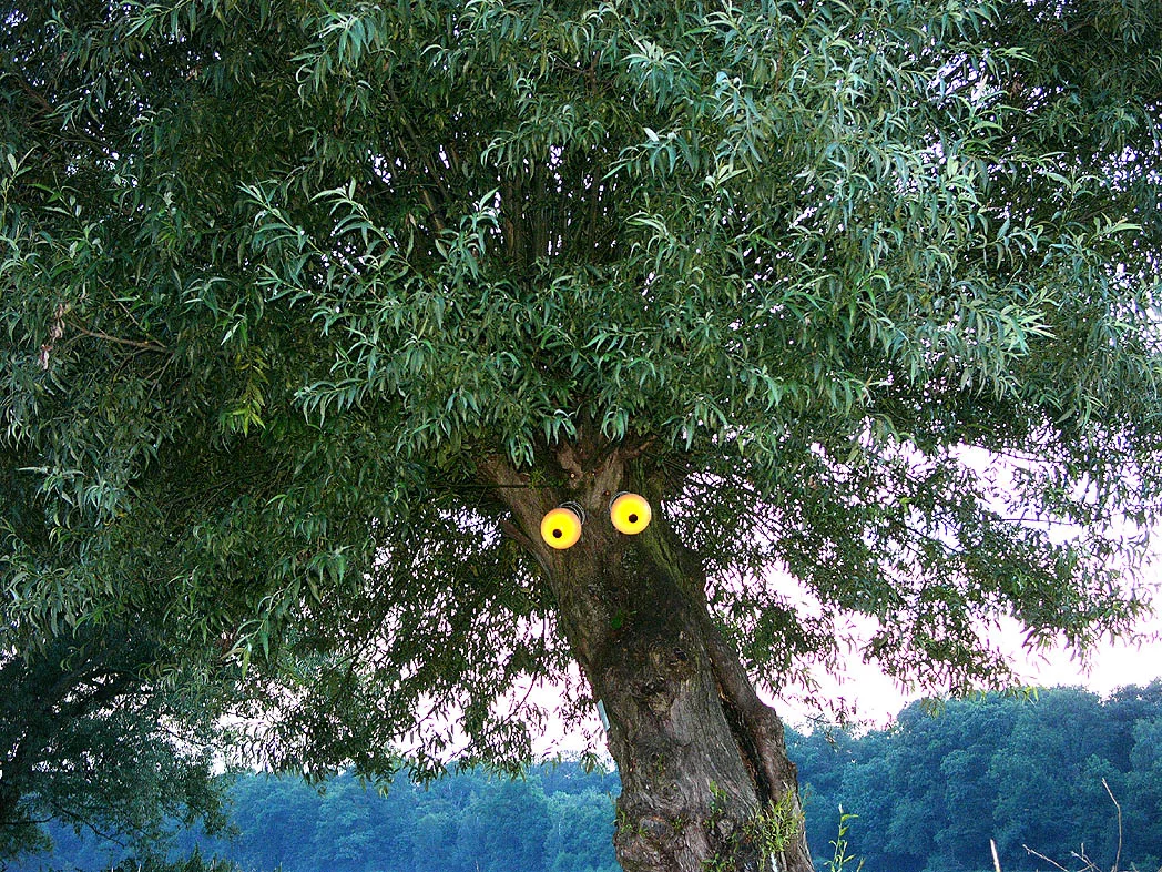 Der Struwwelpeterbaum