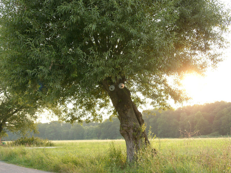 Stefan Cop Stuwwelpeter Komische Kunst GrünGürtel (2)