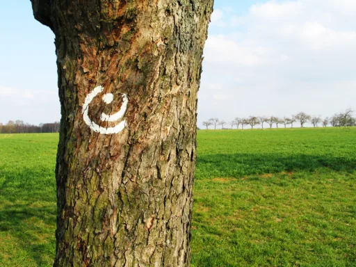 Heiligenstock StammmitGG Logo