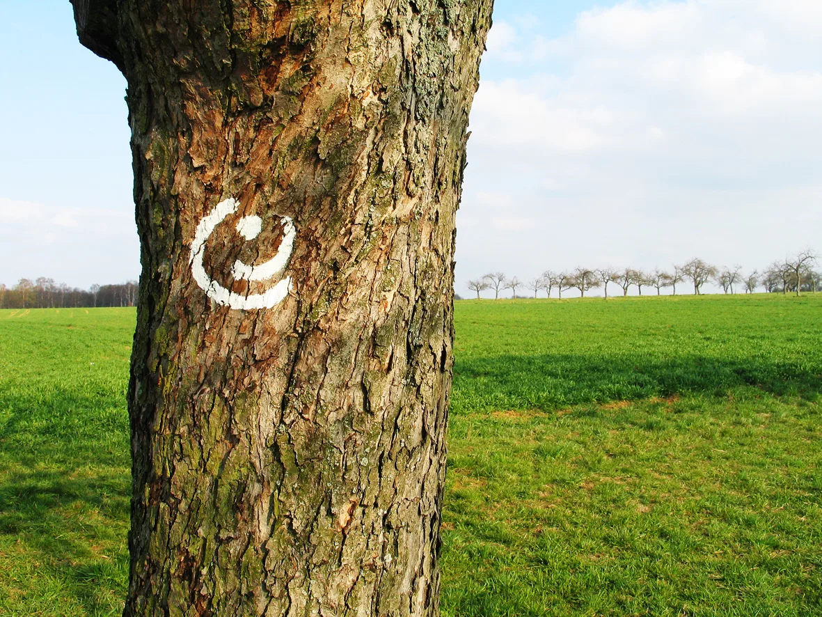 Komische Kunst im GrünGürtel