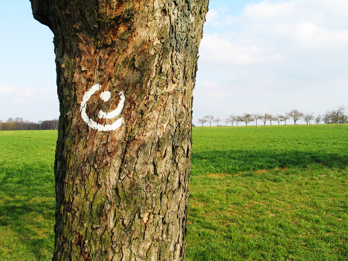 Heiligenstock StammmitGG Logo