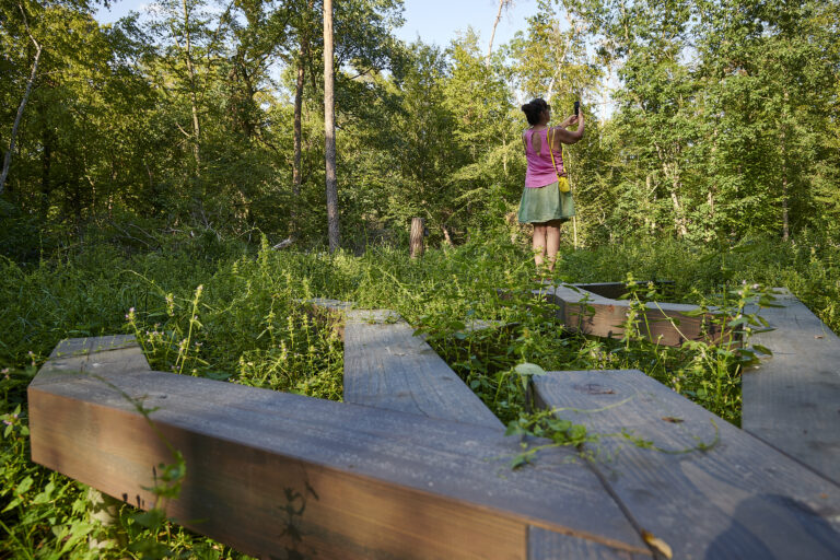 Regionalpark Klimaroute Station Wald